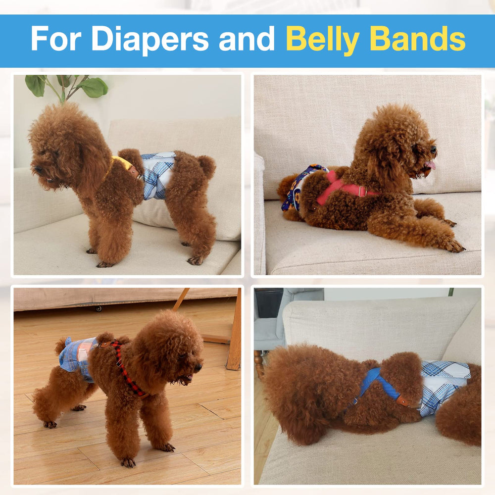 Suspensores Pet Soft uso diario para perros durante paseos y casa.