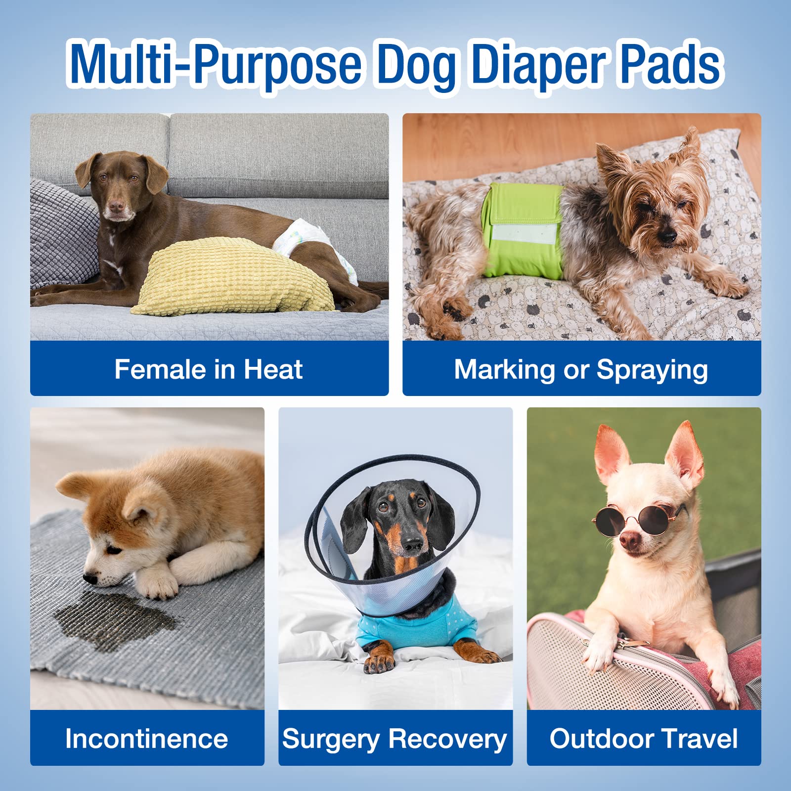 Pet Soft talla S para perros pequeños.
