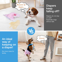 Pet Soft con clips metálicos intercambiables para un ajuste seguro.