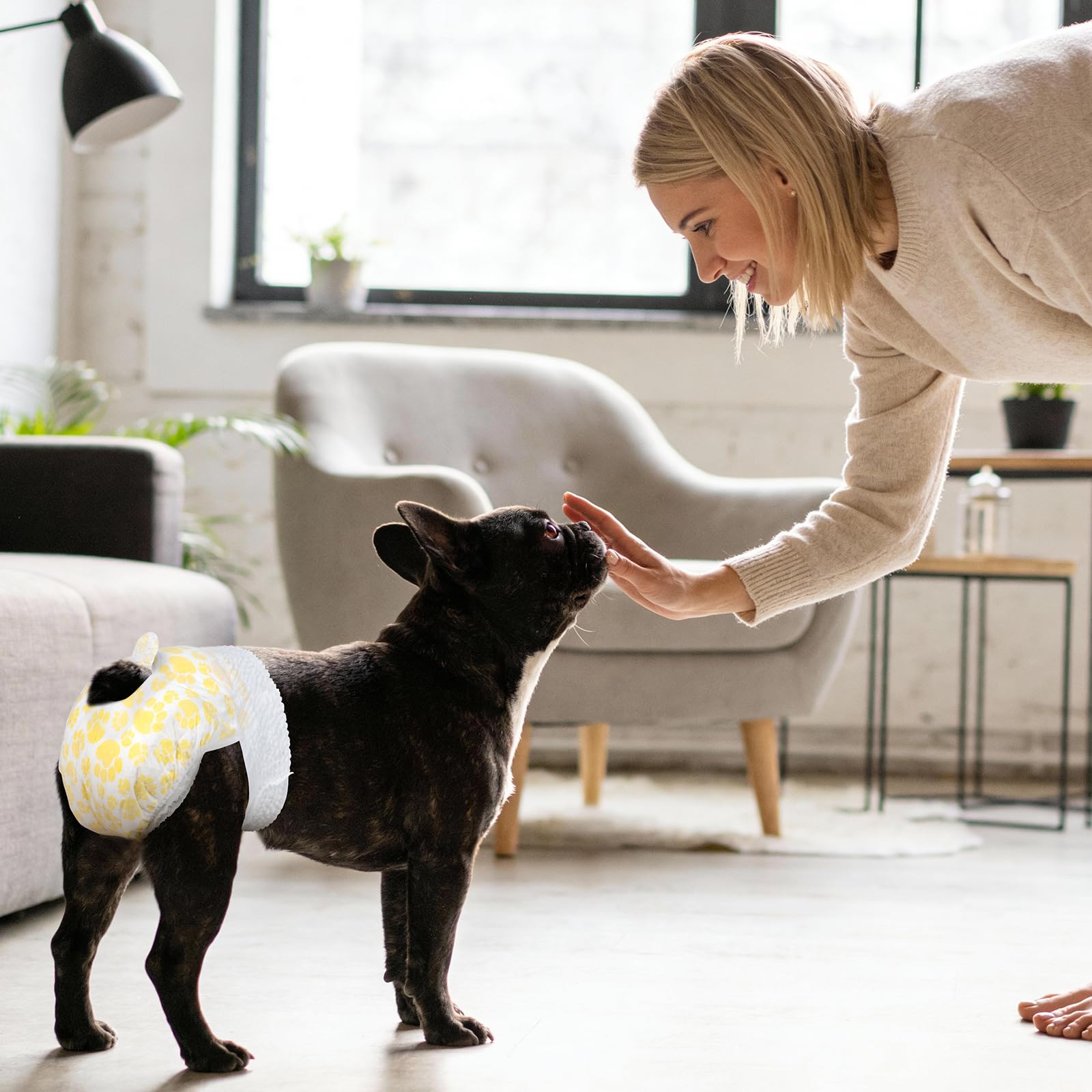 Pañales Pet Soft para uso diario: cambio fácil al final del día.