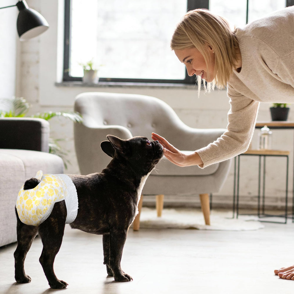 Pañales Pet Soft para uso diario: cambio fácil al final del día.