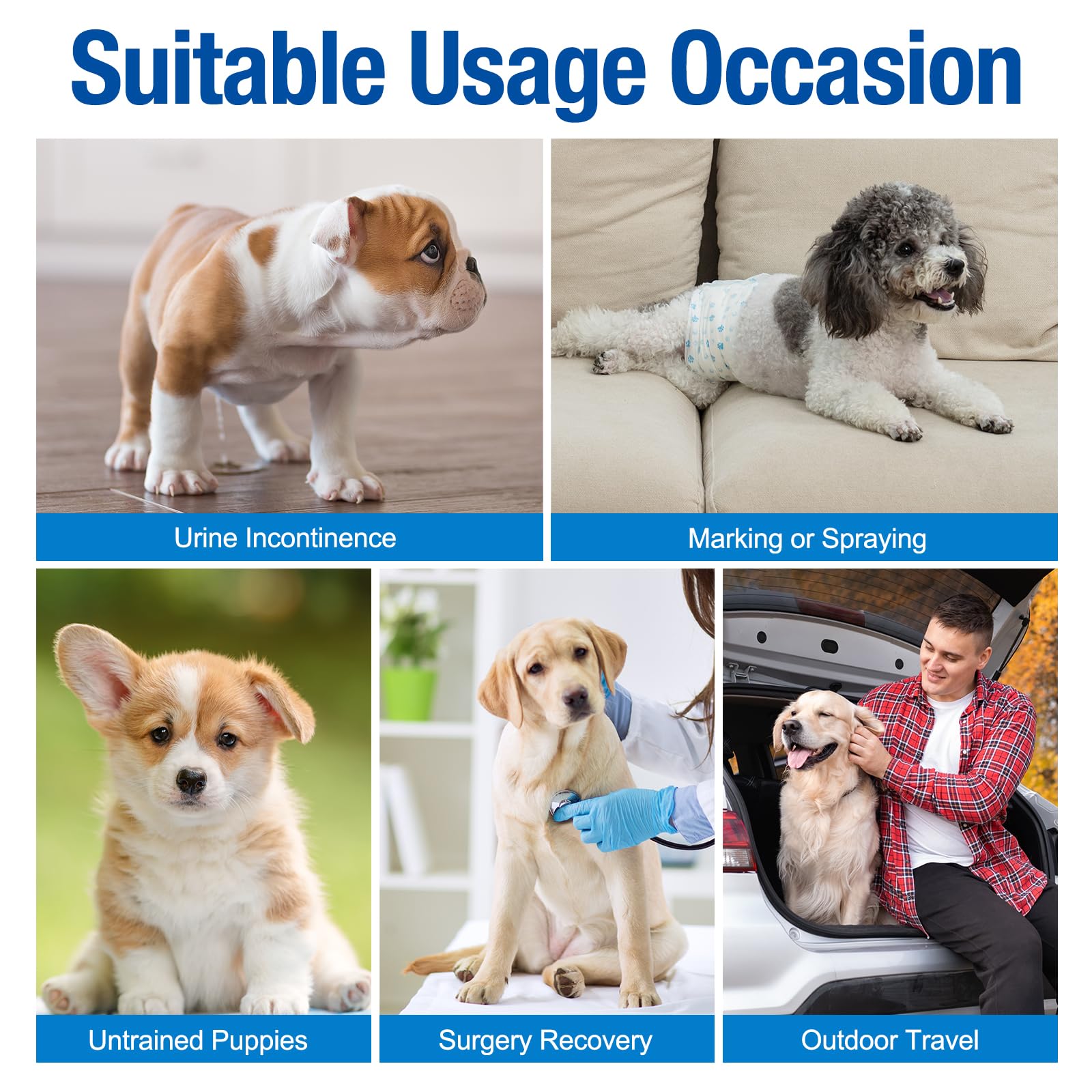 Pet Soft uso diario o en viaje para perros.