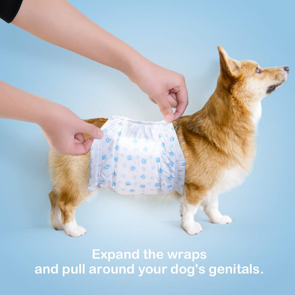 Uso diario o de viaje con Pet Soft para perros pequeños.