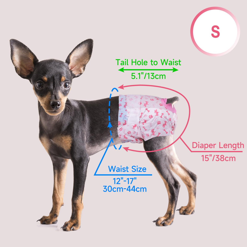 Pet Soft diseño práctico para uso diario o viaje con mascotas.