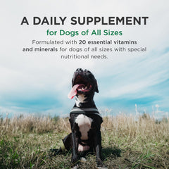 Pet-Tabs Plus: uso diario para perros de todas las razas y tamaños.