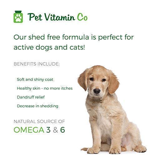 Pet Vitamin Co masticables en tarro: posible apoyo para piel sana y pelaje.
