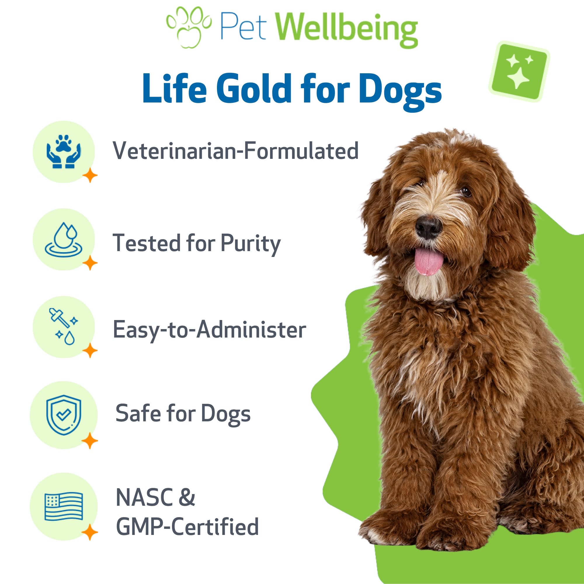 Pet Wellbeing Life Gold: perro más cómodo tras la administración.
