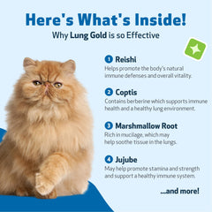 Ingredientes-herbales de Lung Gold de Pet Wellbeing presentados en frasco