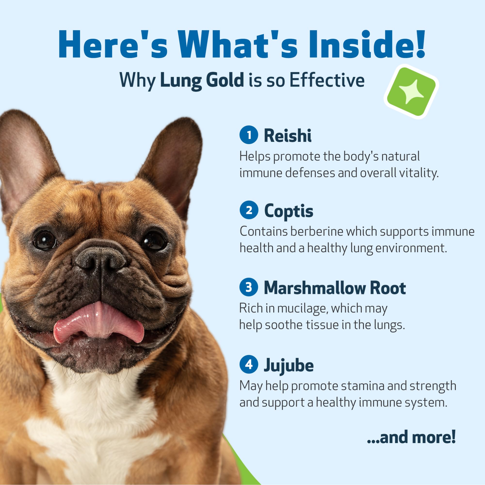 Pet Wellbeing Lung Gold sello NASC garantiza calidad respaldada por pruebas externas.