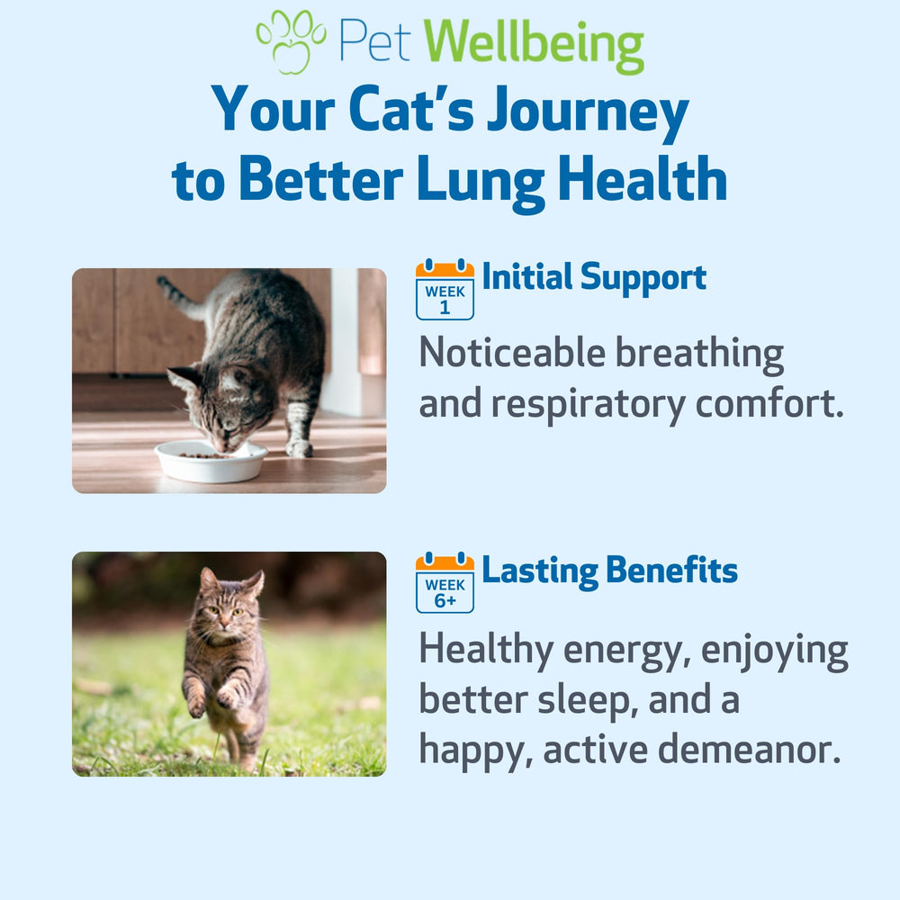 Lung Gold de Pet Wellbeing con sabor a bacon para mejorar la aceptación