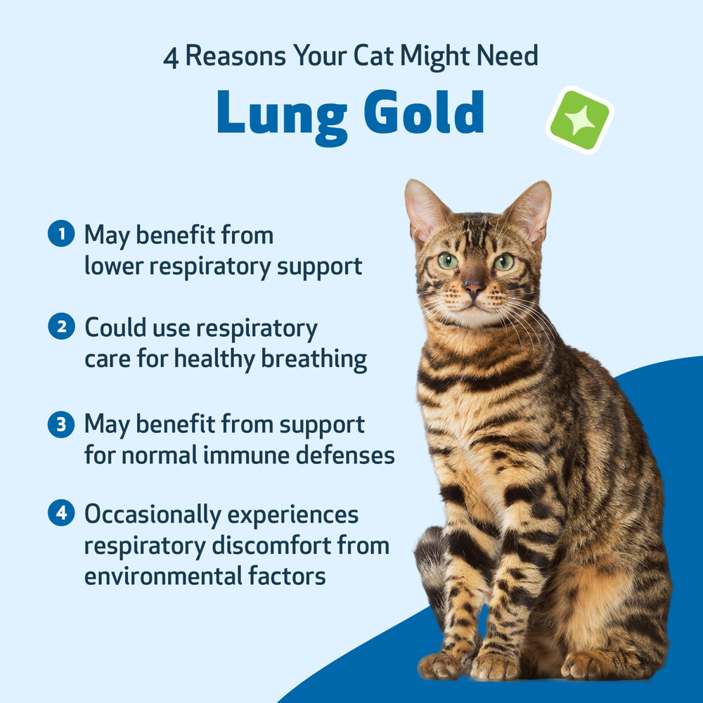 Uso cotidiano de Lung Gold en gatos con gotero incluido