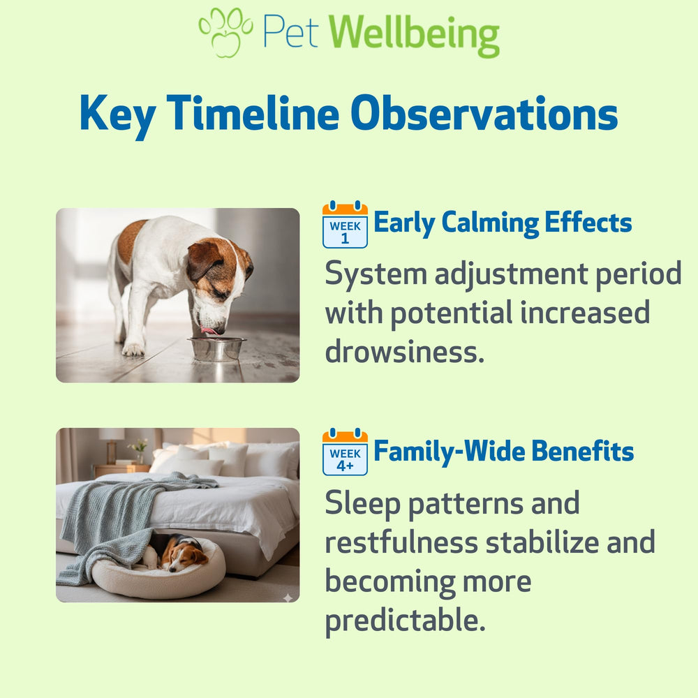 Pet Wellbeing Melatonina para perros – pensado para perros senior