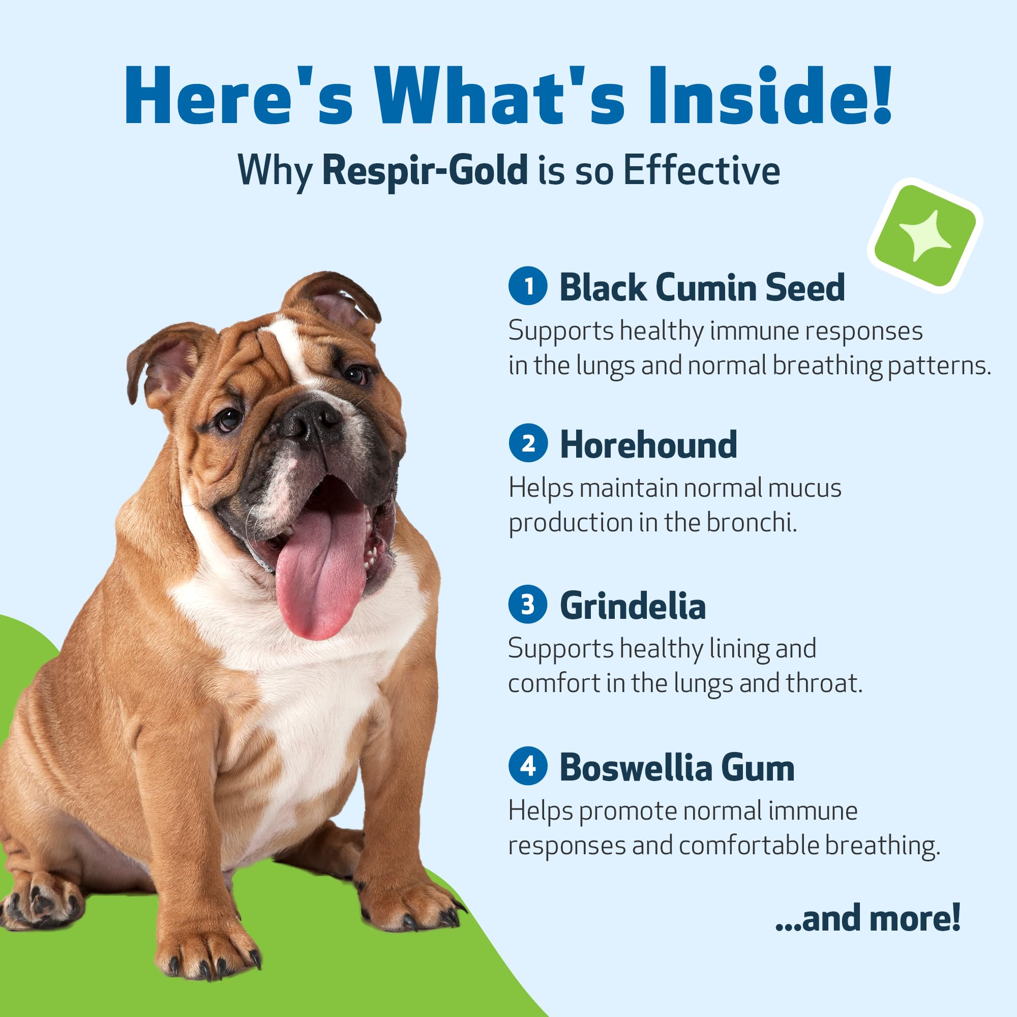 Pet Wellbeing Respir-Gold etiqueta, información de ingredientes y beneficios.