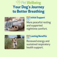 Pet Wellbeing Respir-Gold uso diario, apoyo respiratorio constante.