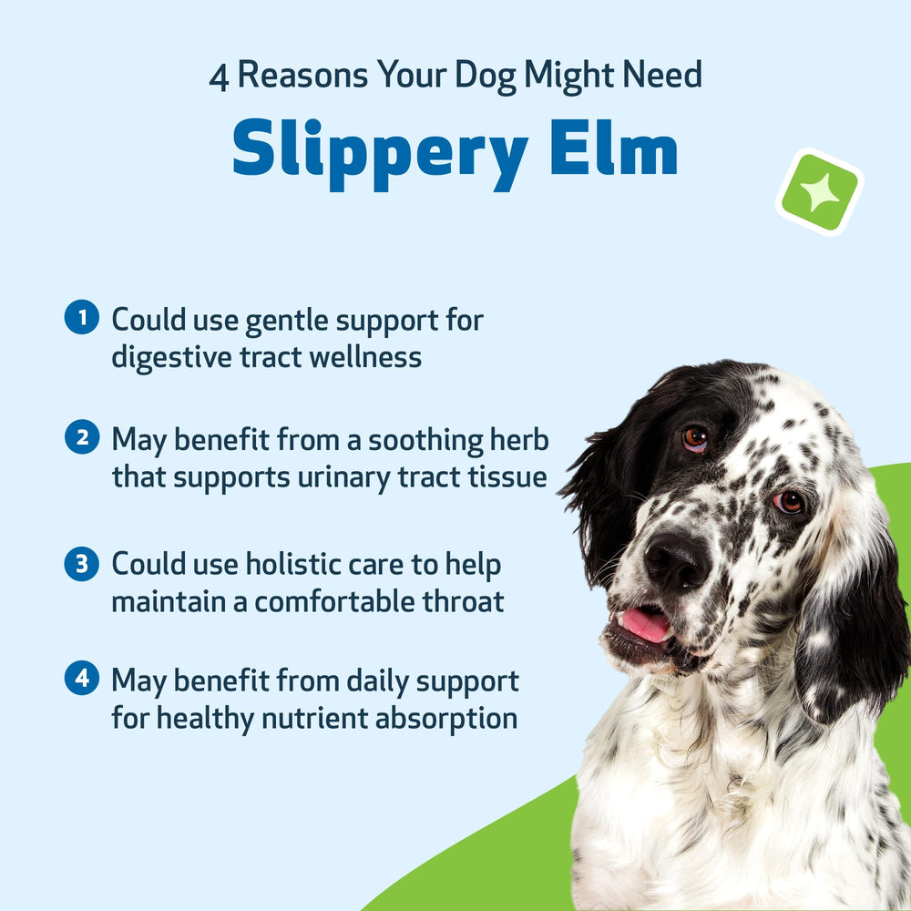 Pet Wellbeing Slippery Elm, compatible con rutinas diarias de salud.