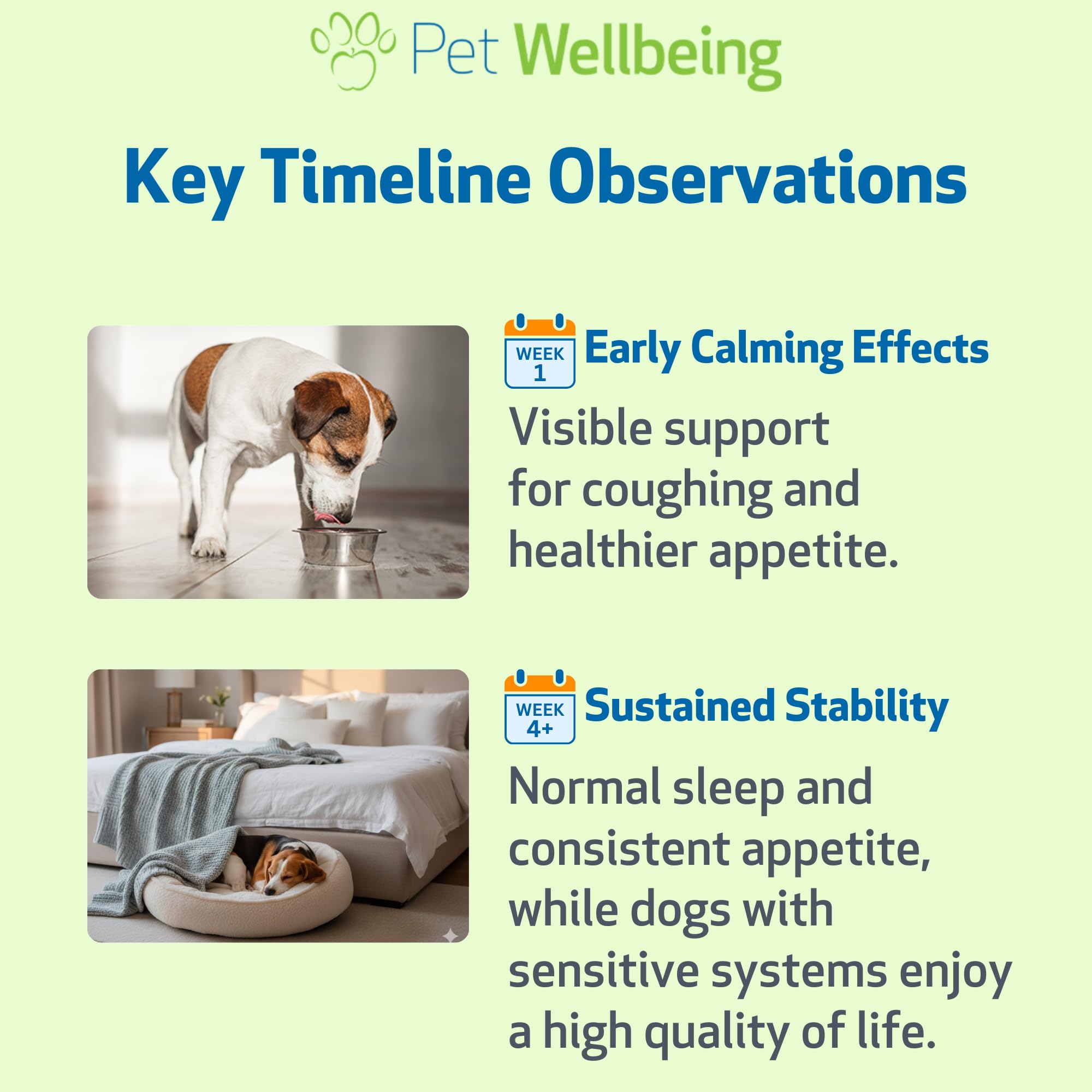 Pet Wellbeing Slippery Elm, uso sencillo para perros sensibles.