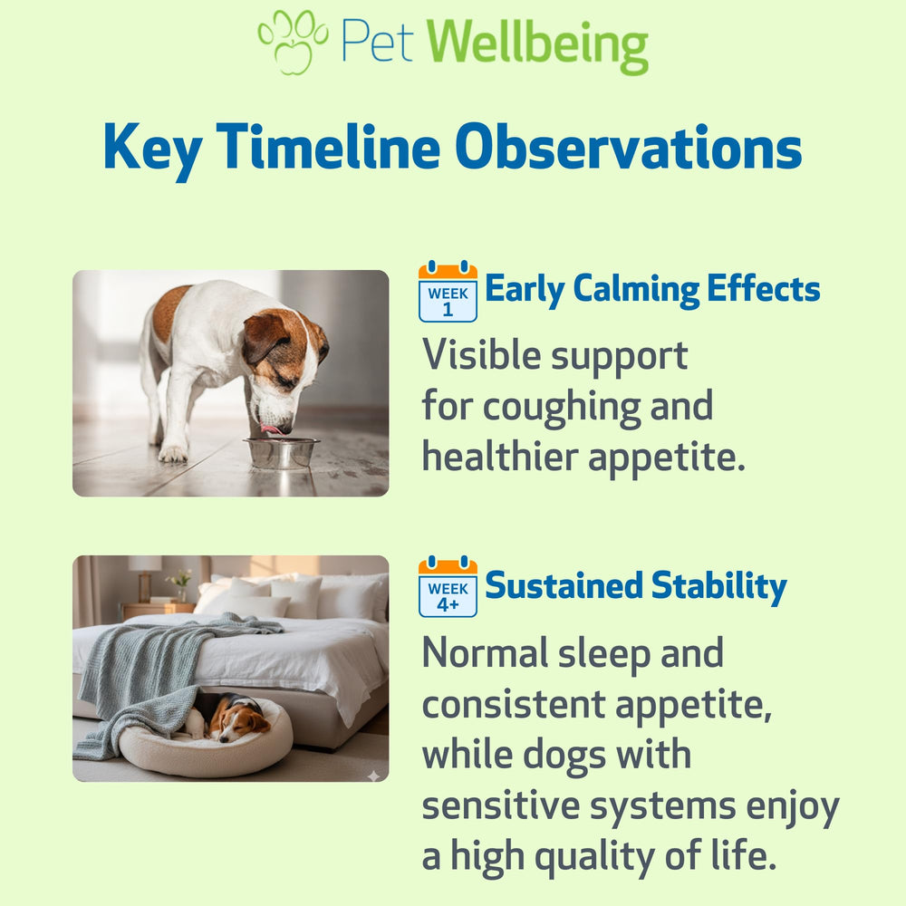 Pet Wellbeing Slippery Elm, uso sencillo para perros sensibles.