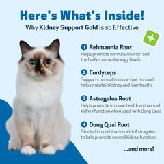 Pet Wellbeing Kidney Support Gold: gato bebe con sabor a bacon natural.