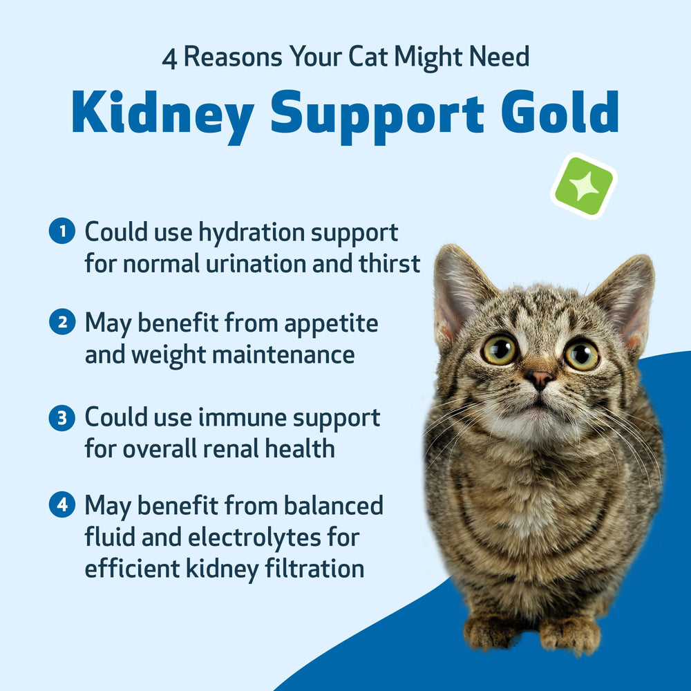 Pet Wellbeing Soporte Renal Oro: apoyo potencial para la vitalidad diaria de tu gato.