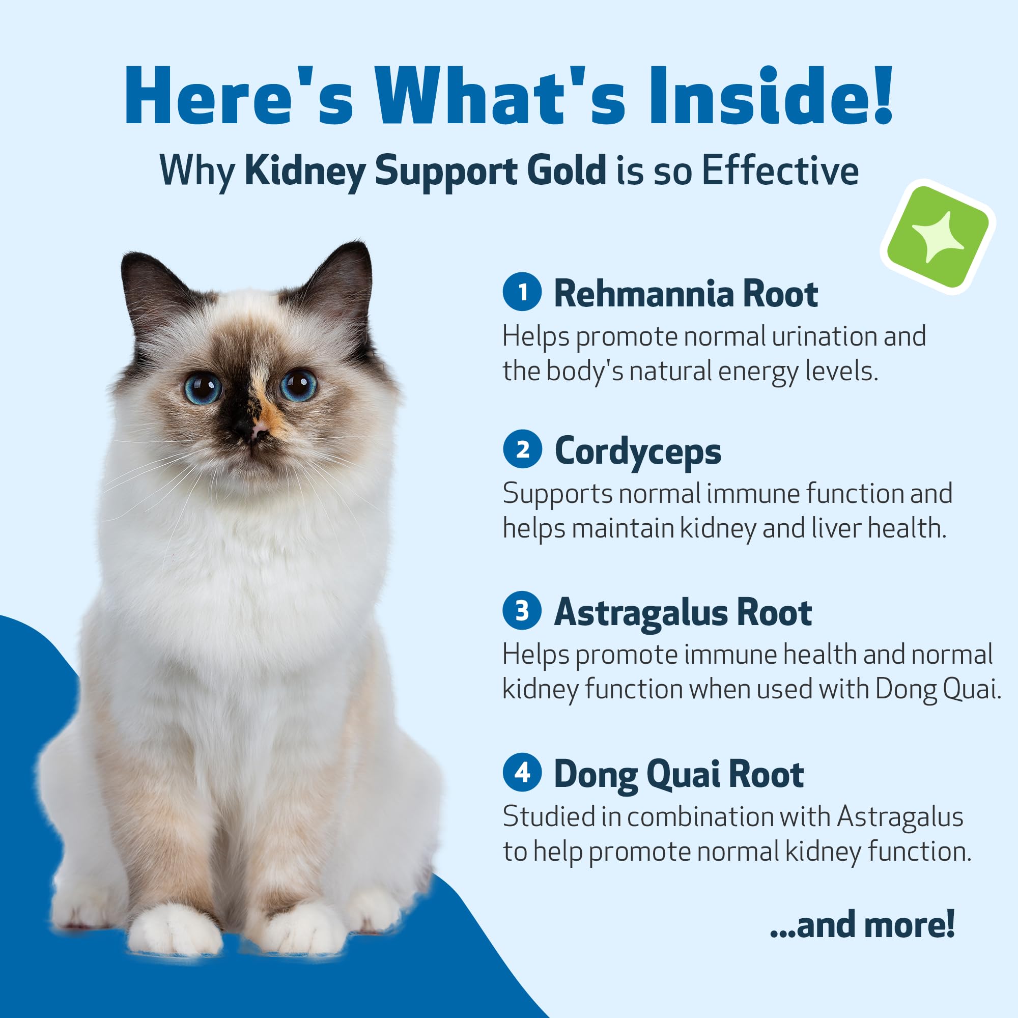 Pet Wellbeing Soporte Renal Oro: gotero práctico para dosis precisas.