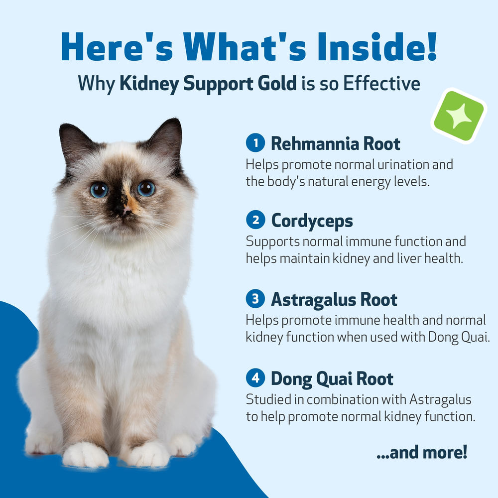 Pet Wellbeing Soporte Renal Oro: gotero práctico para dosis precisas.