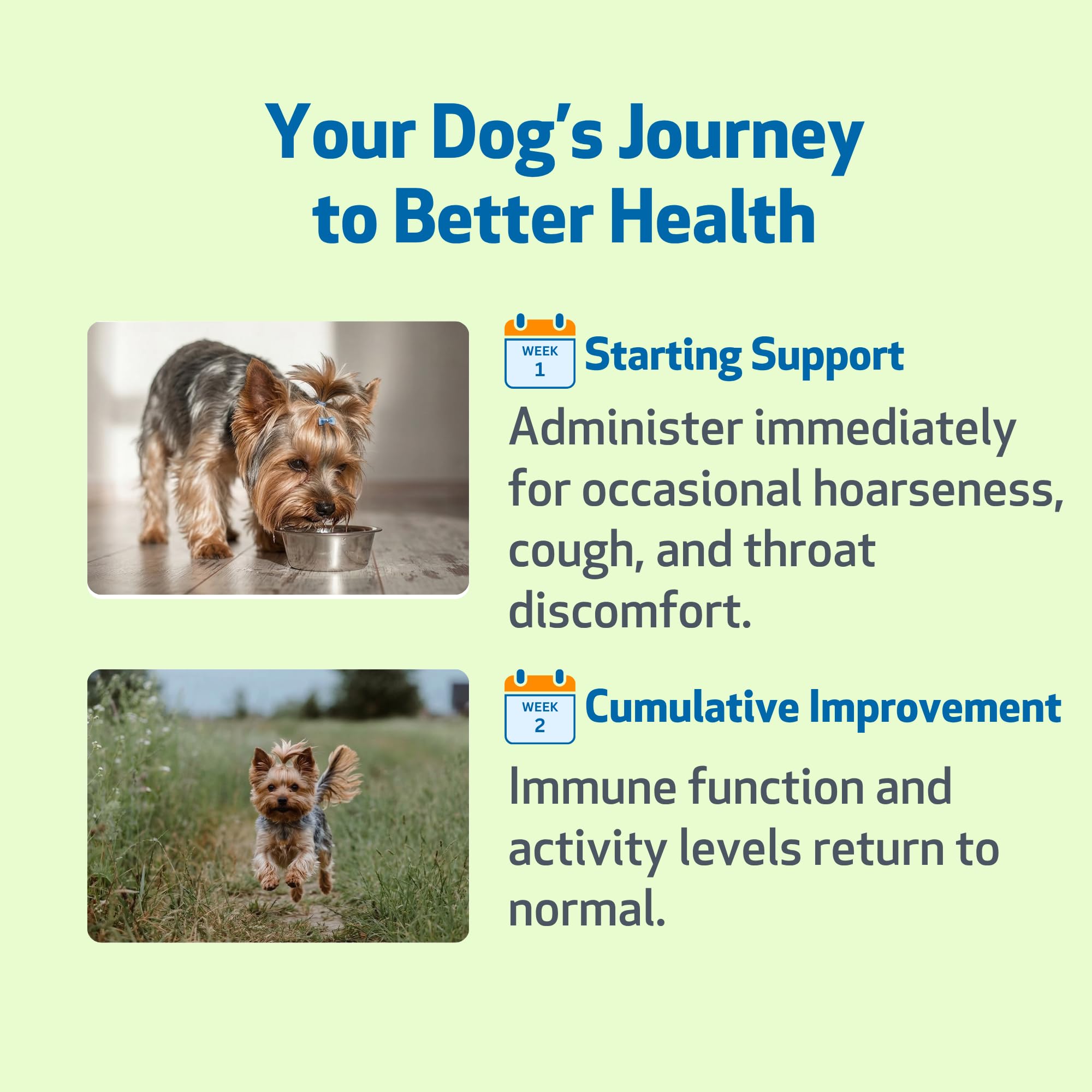 Pet Wellbeing Throat Gold, aplicación suave en la boca del perro.