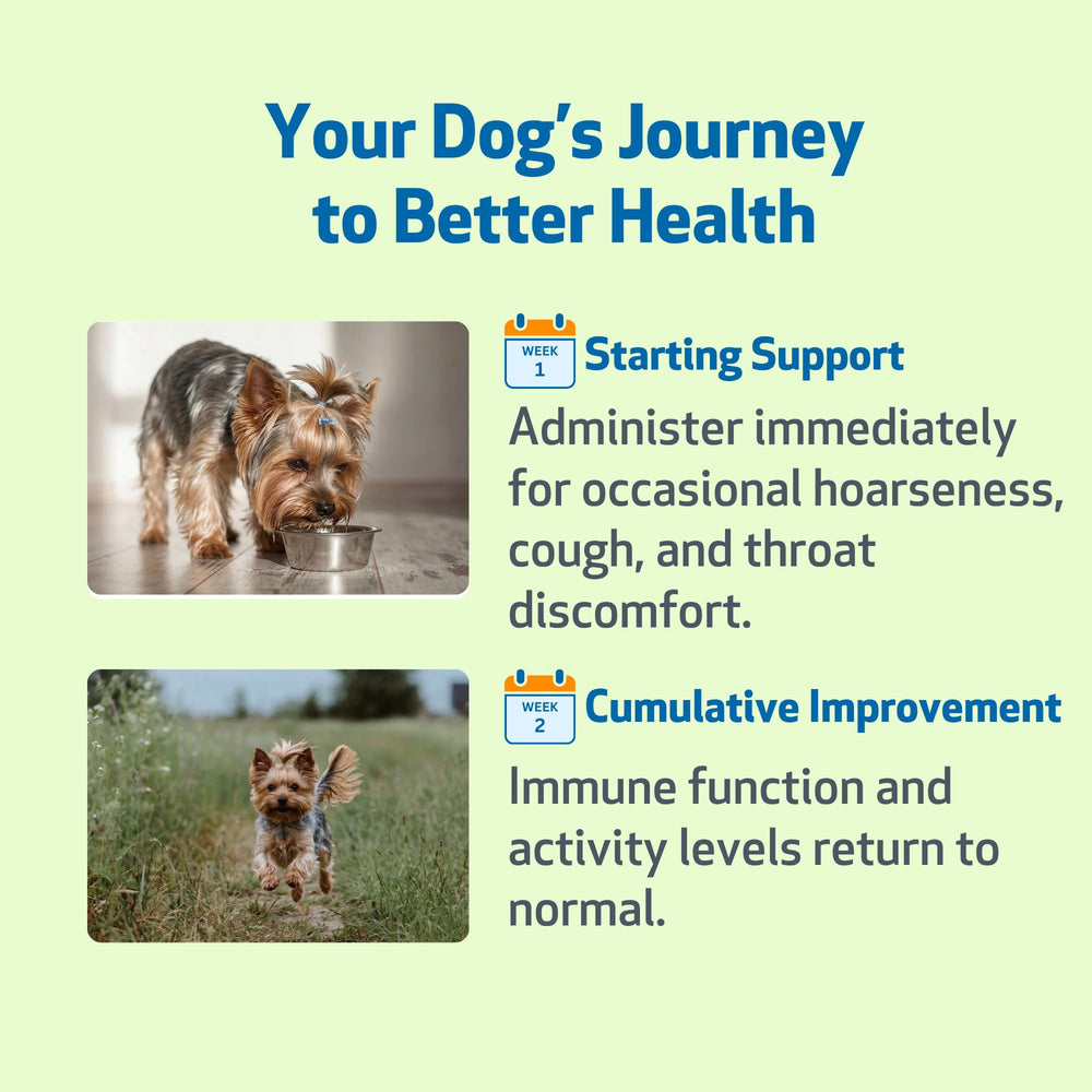 Pet Wellbeing Throat Gold, aplicación suave en la boca del perro.