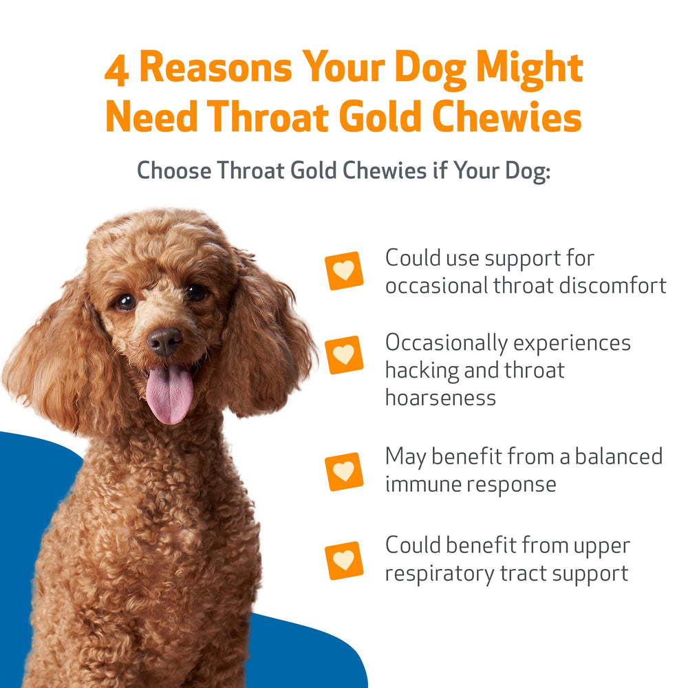 Pet Wellbeing Throat Gold Chewies: textura suave, masticable agradable para uso diario