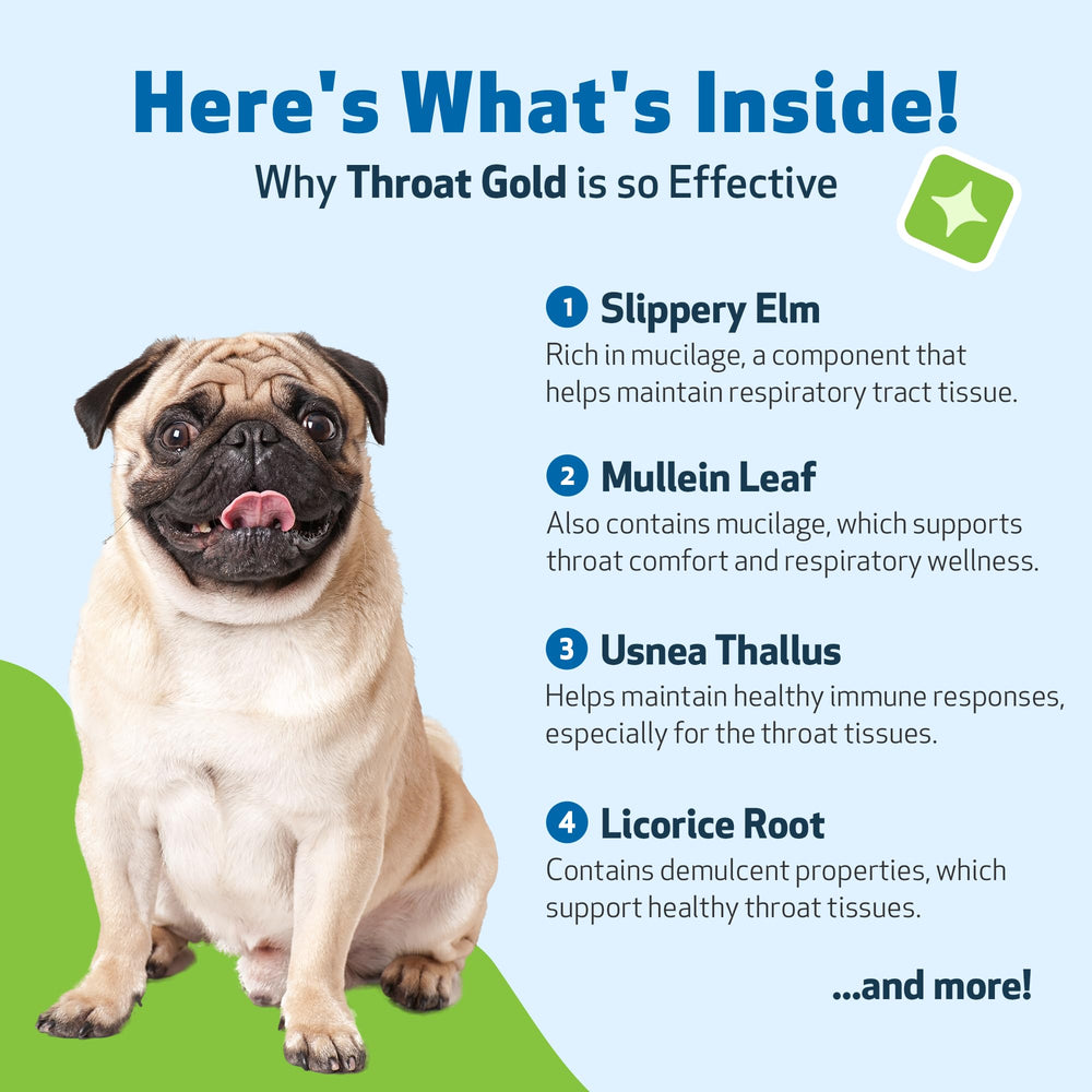 Pet Wellbeing Throat Gold, frasco transparente que muestra el líquido claro.