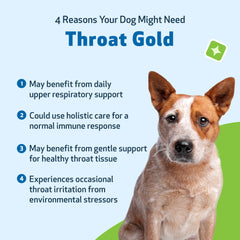 Pet Wellbeing Throat Gold, gotero que facilita la dosis diaria.