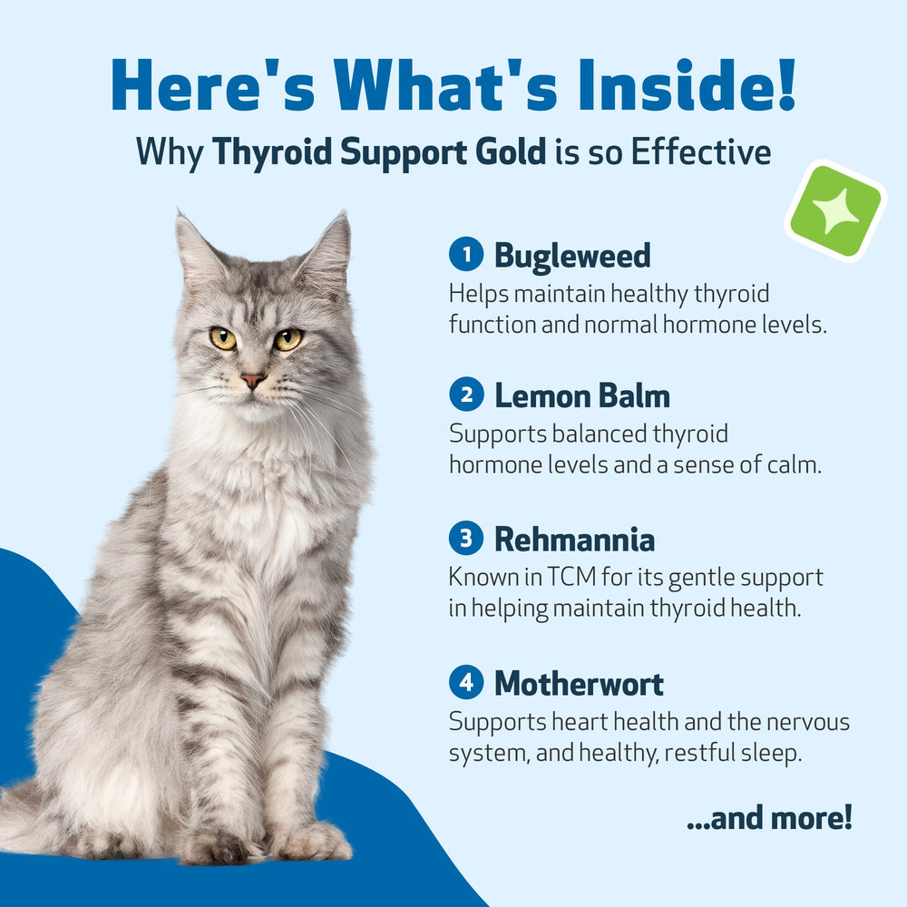 Pet Wellbeing Thyroid Support Gold dispensador, facilita gotas exactas para cada comida.