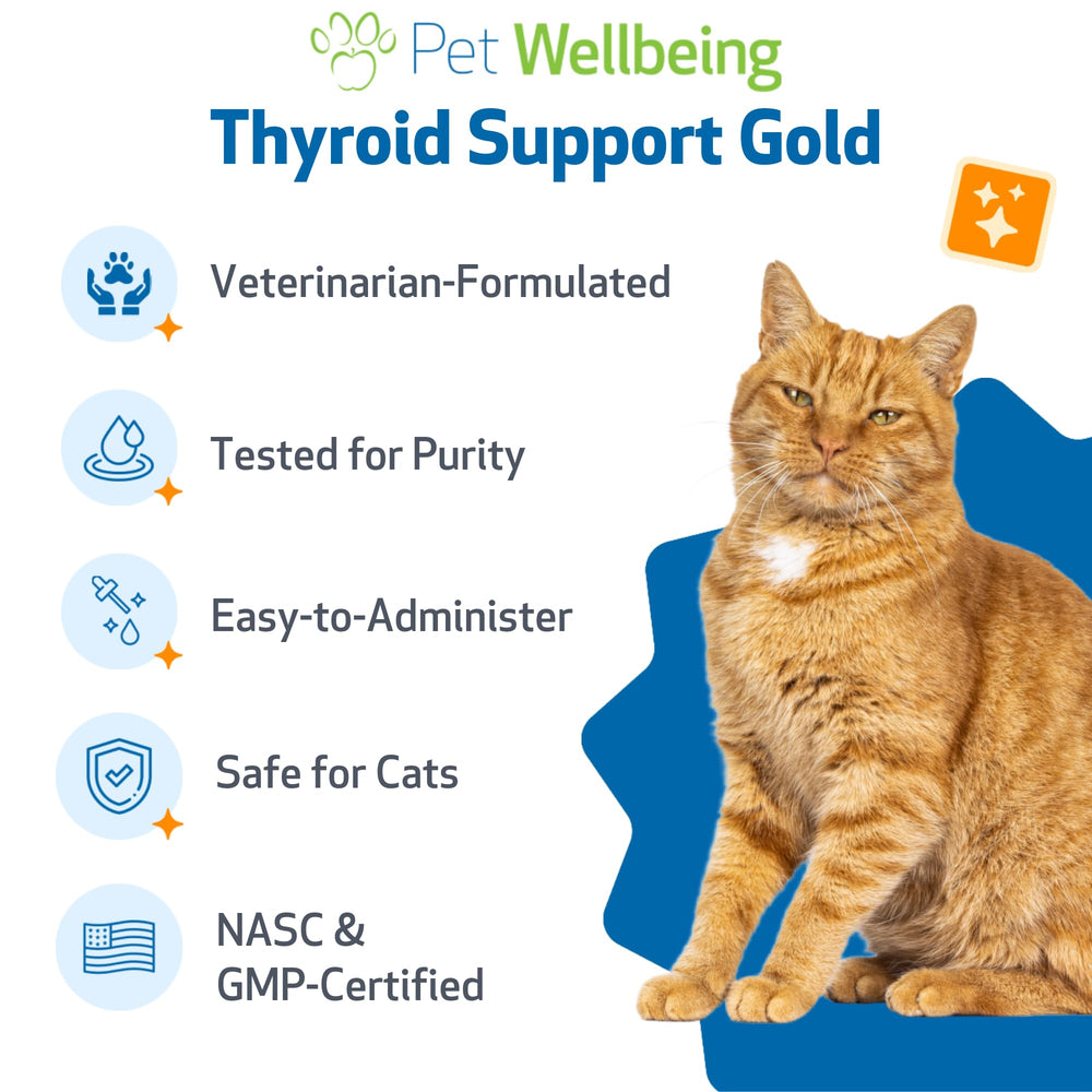 Pet Wellbeing Thyroid Support Gold gotas dosificadas, ideal para dosis diarias.