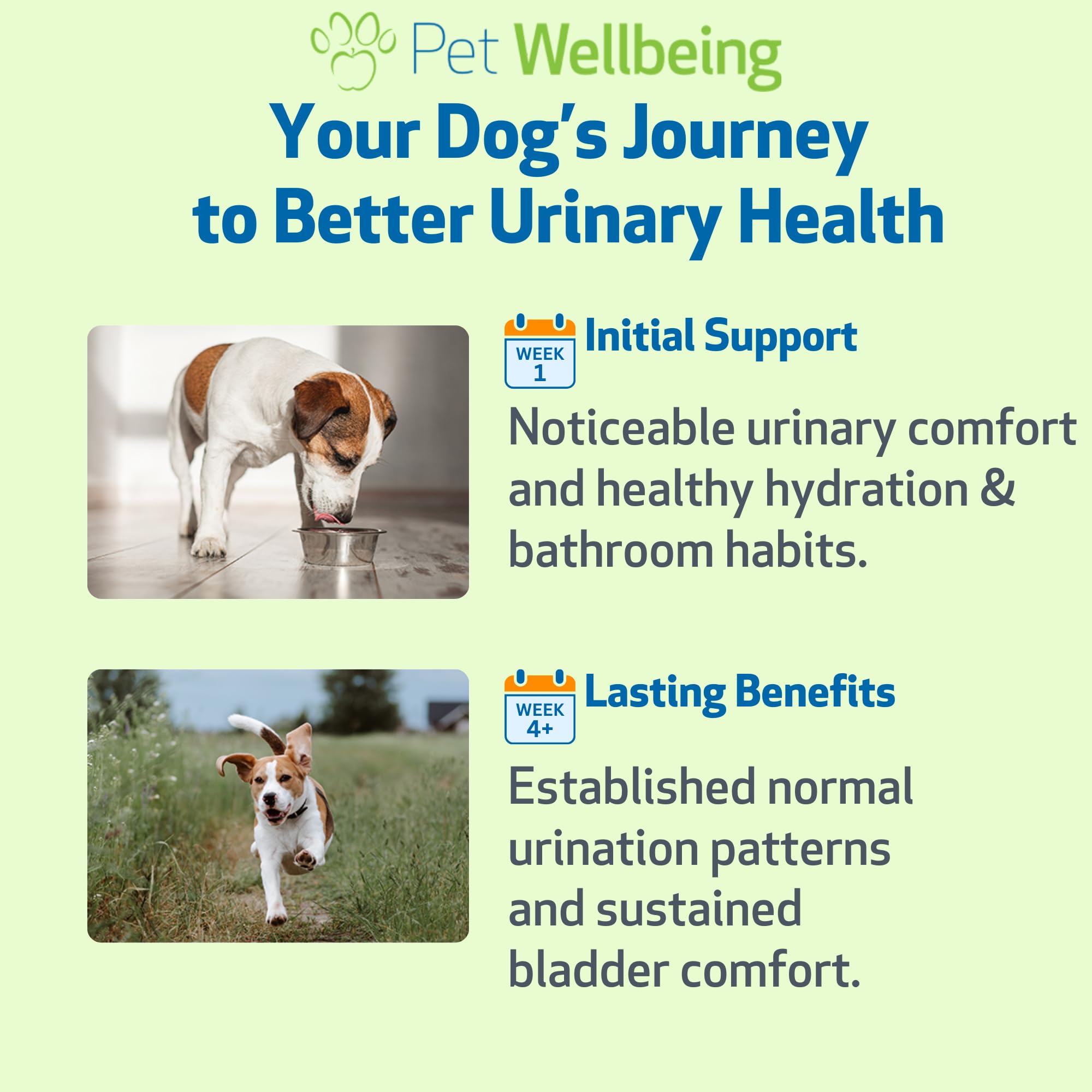 Pet Wellbeing Urinary Gold, certificado NASC y seguridad de calidad