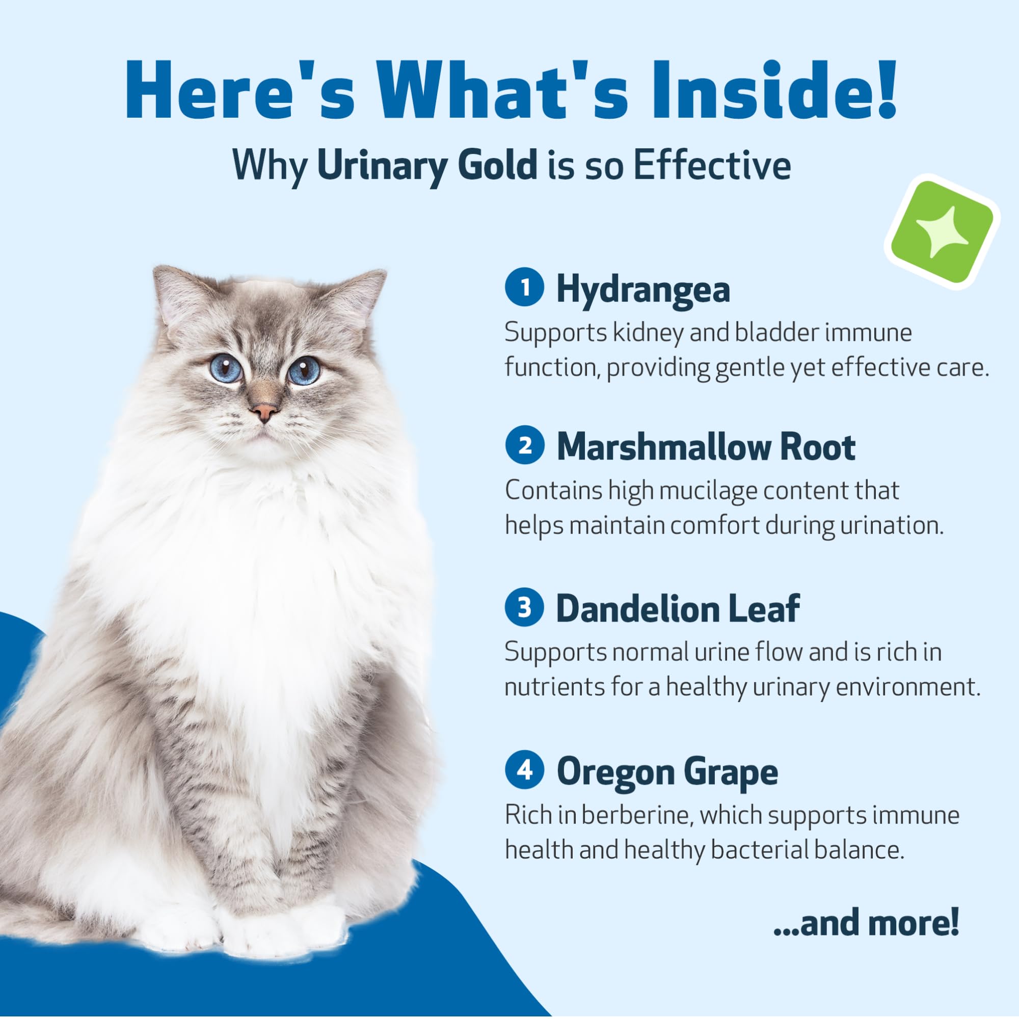 Pet Wellbeing Urinary Gold forma líquida para administración sencilla y bienestar urinario.