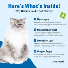 Pet Wellbeing Urinary Gold forma líquida para administración sencilla y bienestar urinario.