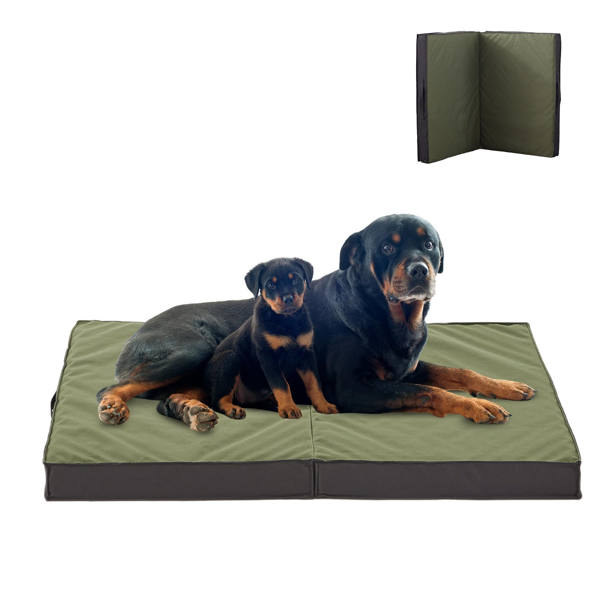 PETABBY cama para perro grande en exterior, cómoda y estable para aventuras.