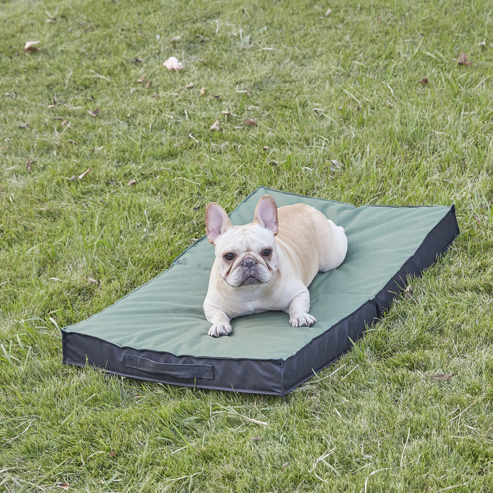 PETABBY cama exterior todo clima, compatible con jaulas y casas para mascotas.
