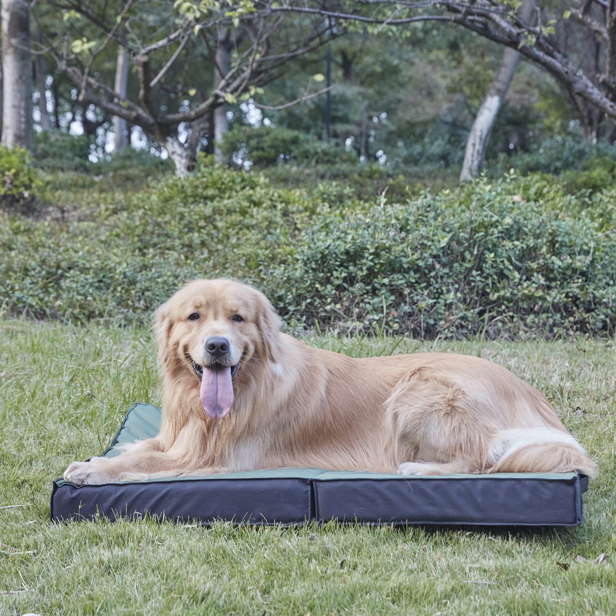 PETABBY limpieza rápida, funda se limpia con paño o agua.