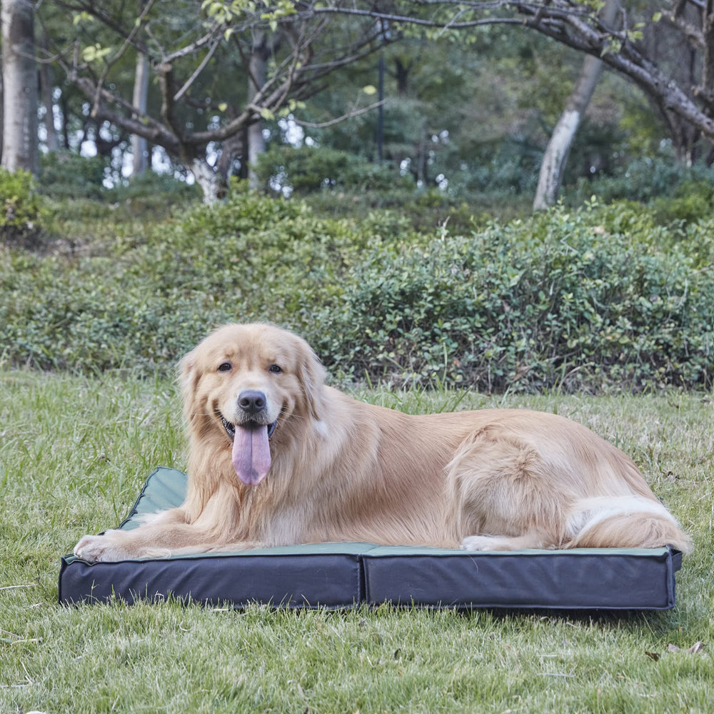 PETABBY limpieza rápida, funda se limpia con paño o agua.
