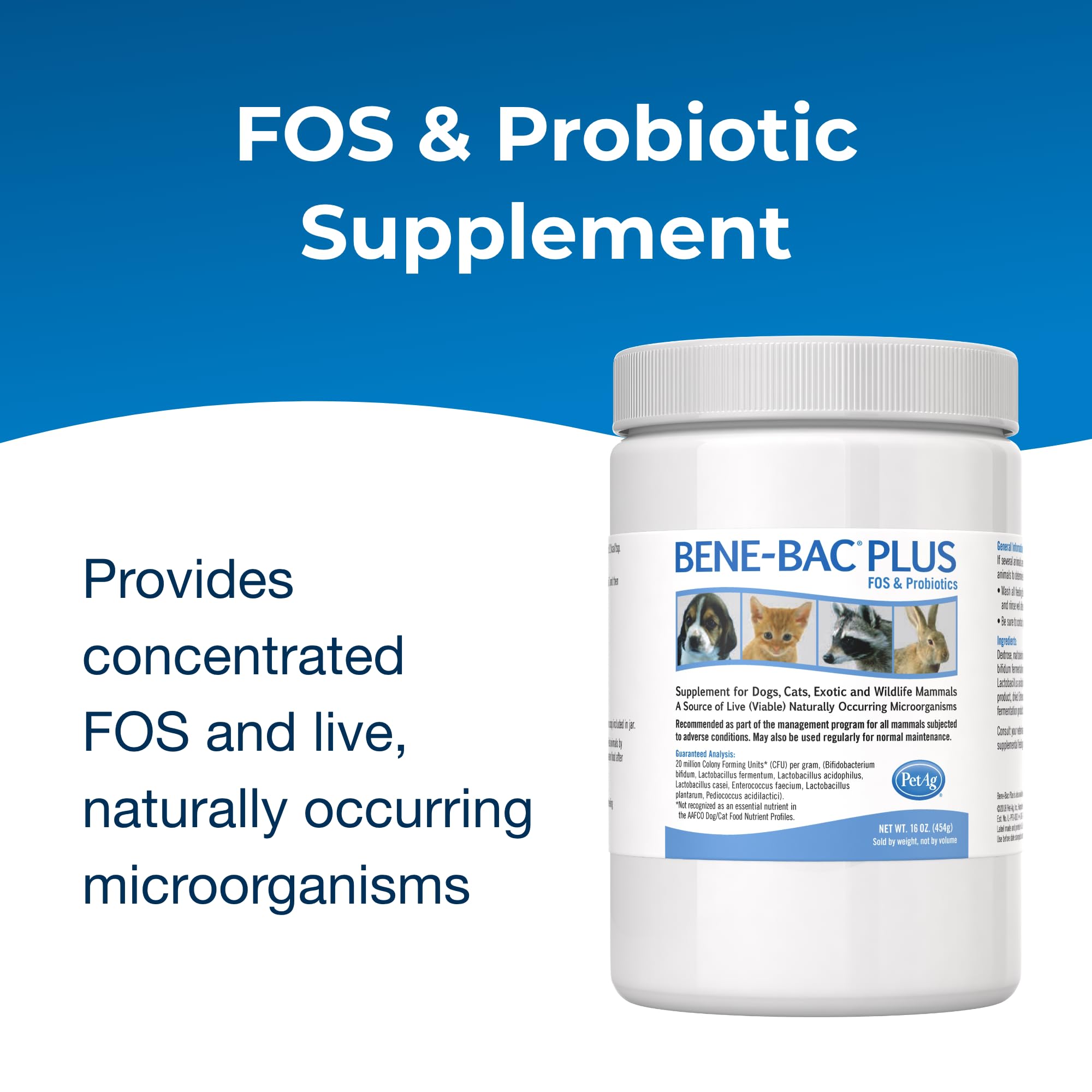 Cuchara medidora de Bene-Bac Plus para dosis consistentes.