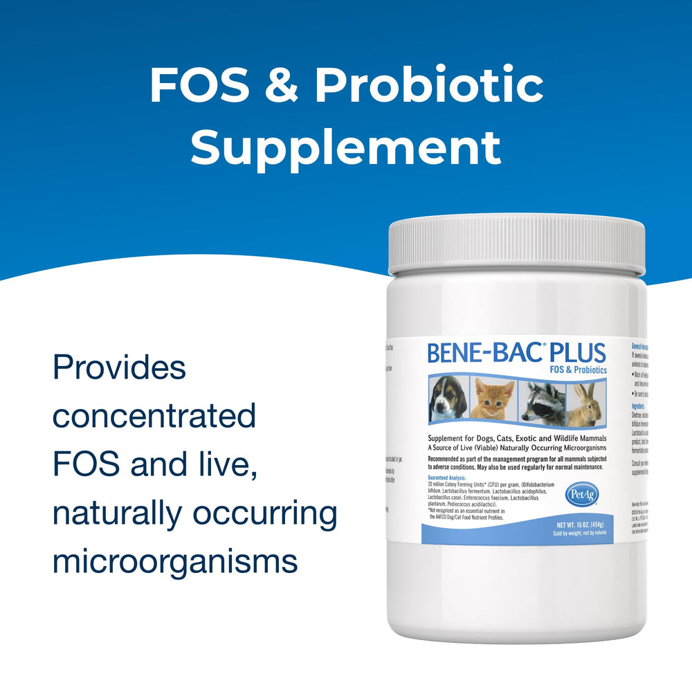 Cuchara medidora de Bene-Bac Plus para dosis consistentes.