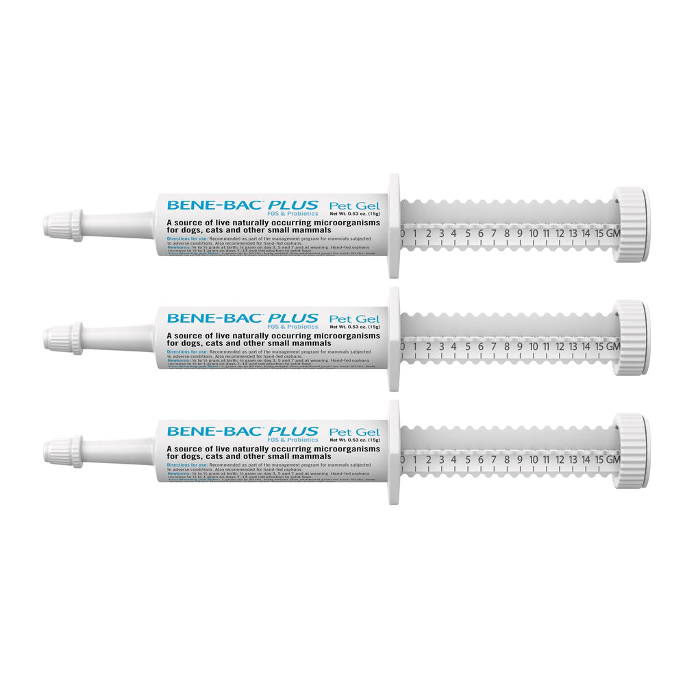 PetAg Bene-Bac Plus Gel en jeringa de 15 g para apoyo digestivo.