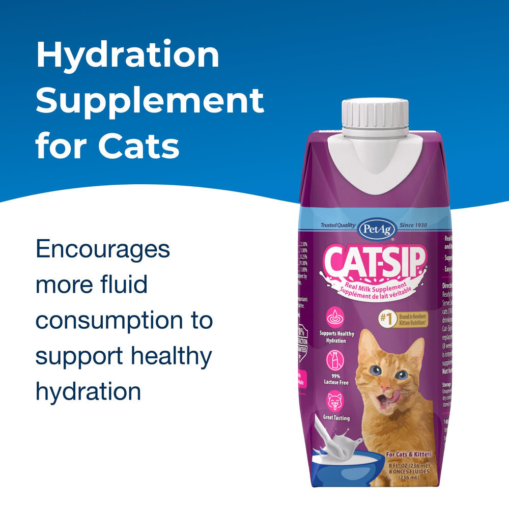 PetAg Cat-Sip envase Tetrapak portátil para uso diario en casa.