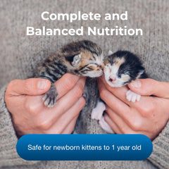 Gatito consumiendo leche PetAg KMR, apoyo nutricional para etapas tempranas.