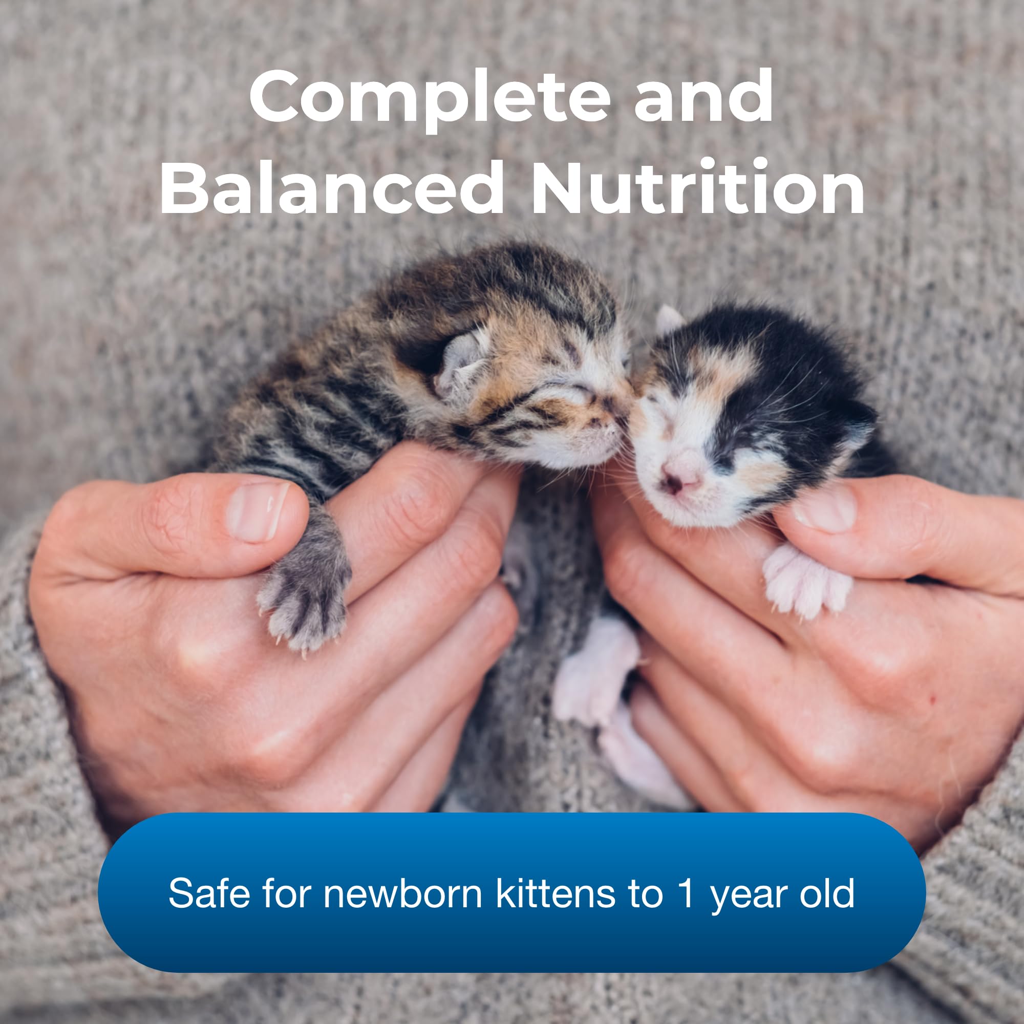 PetAg KMR con prebióticos y probióticos para digestión y defensa natural.