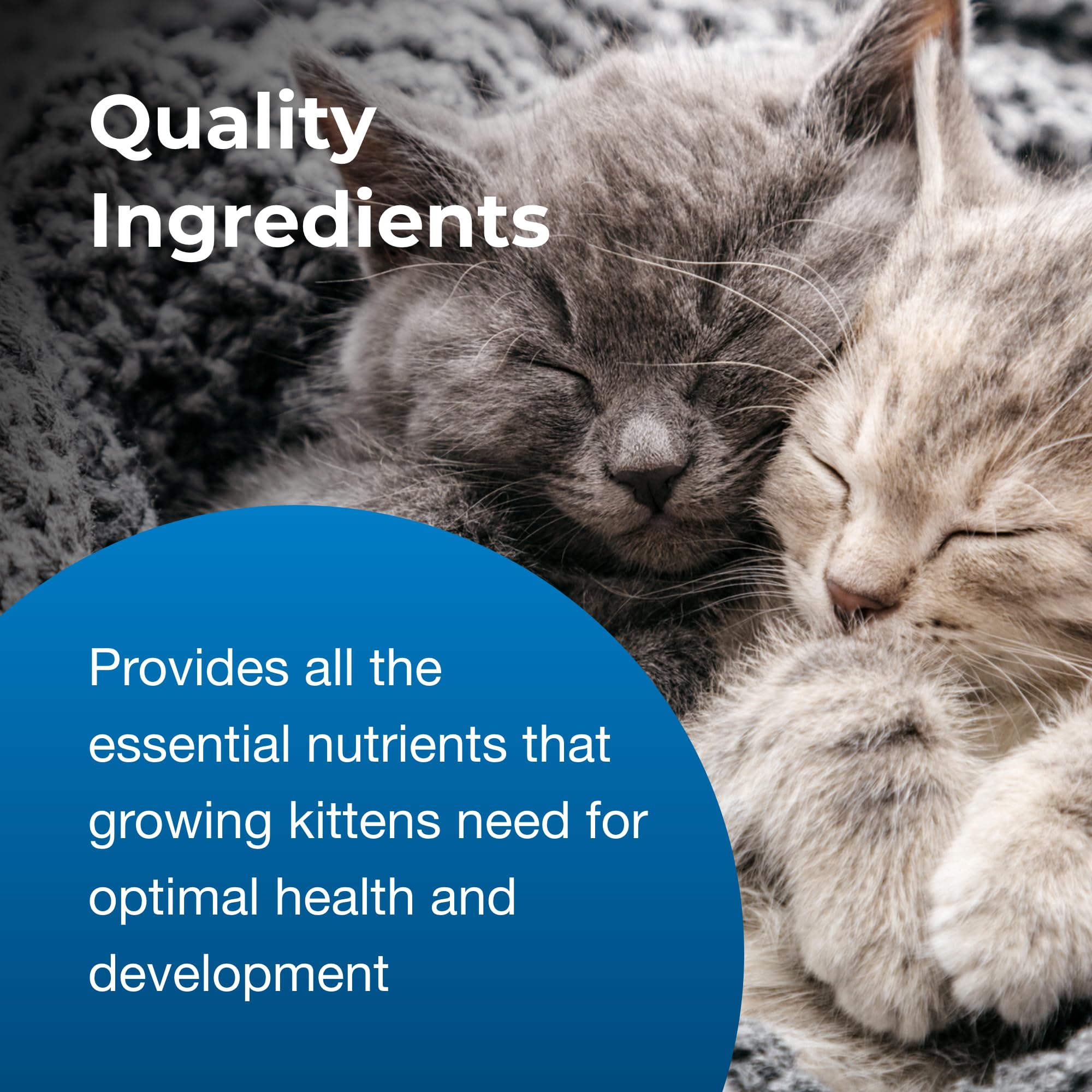 PetAg KMR, vitaminas y minerales para gatitos en desarrollo