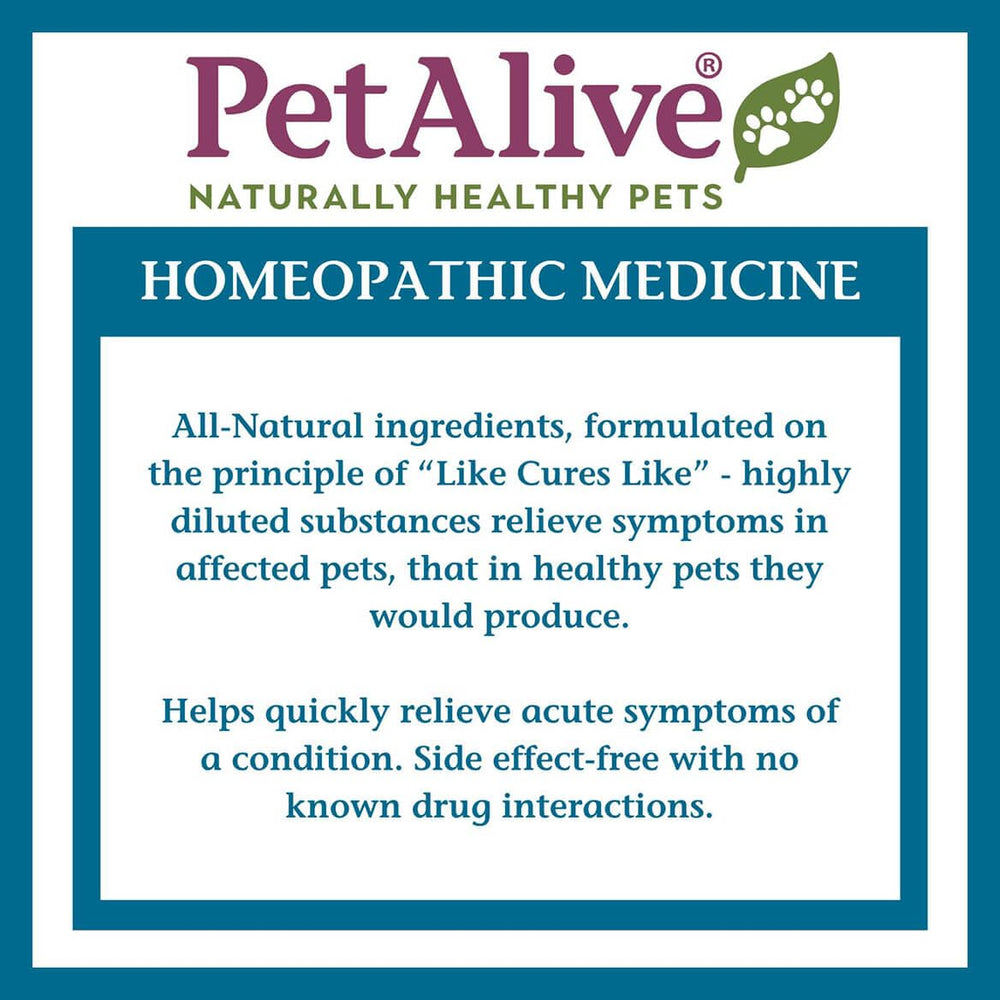 PetAlive ComfyPet, elaborado en EE.UU. con control de calidad.