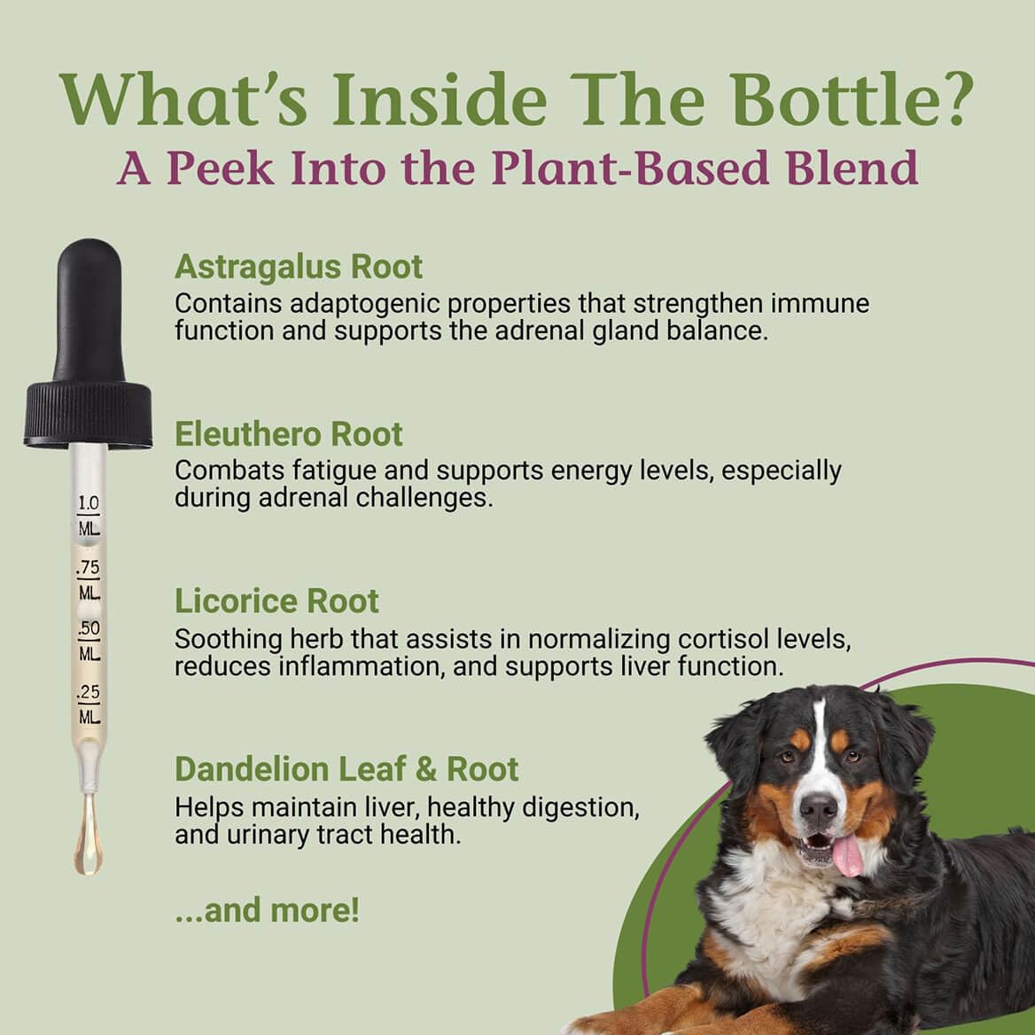 PetAlive Cushex Drops-S: mezcla herbal para apoyar el bienestar general