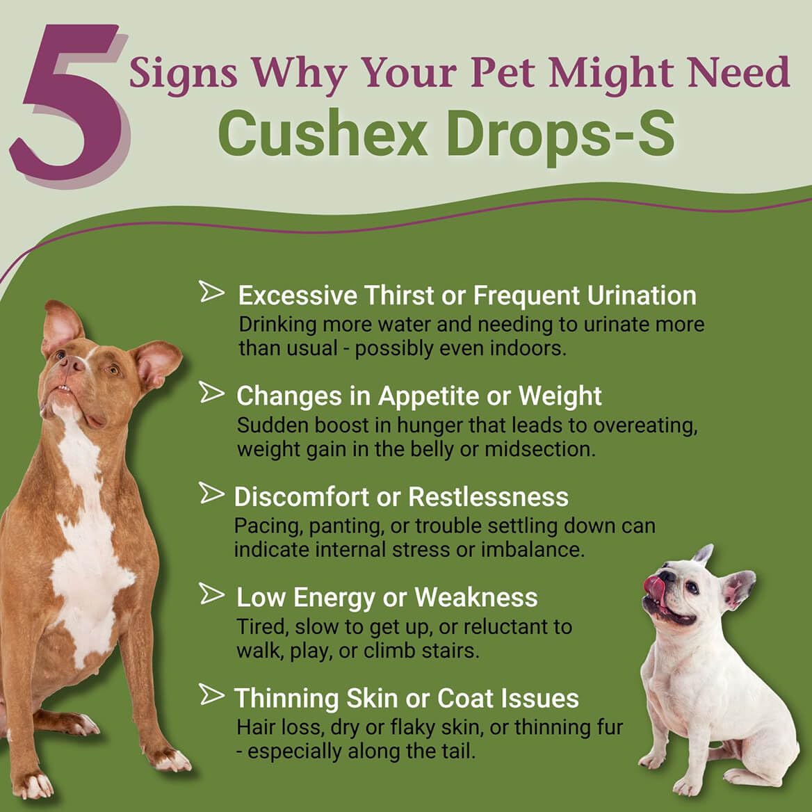 PetAlive Cushex Drops-S: vertido de dosis para uso diario seguro en mascotas