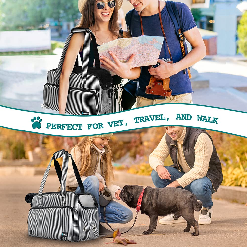 PetAmi aprobado para aerolineas, ideal para viajar con mascota.